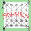 Self-Organization of SN-MRS Systems